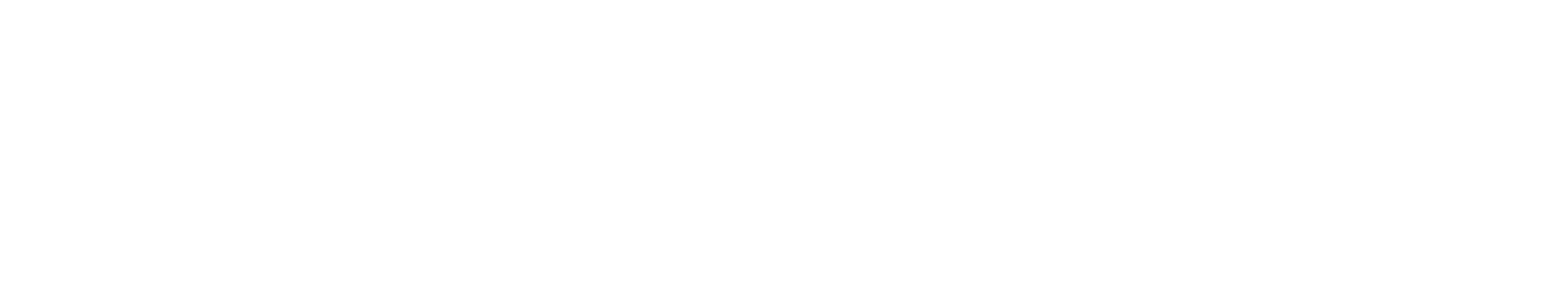 logo blinkb